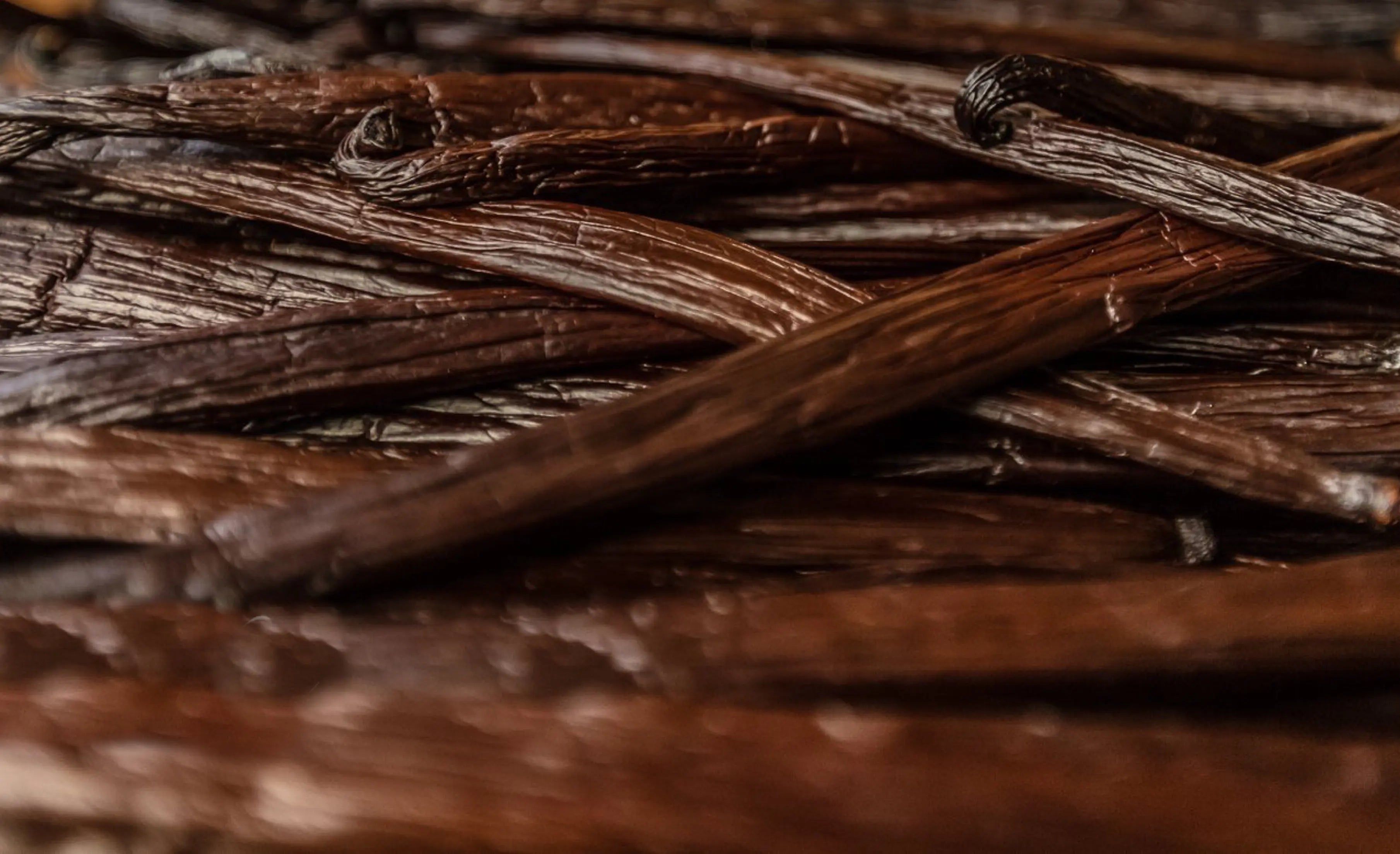 Comment reconnaître une gousse de vanille de qualité ? - Gousse d'Or