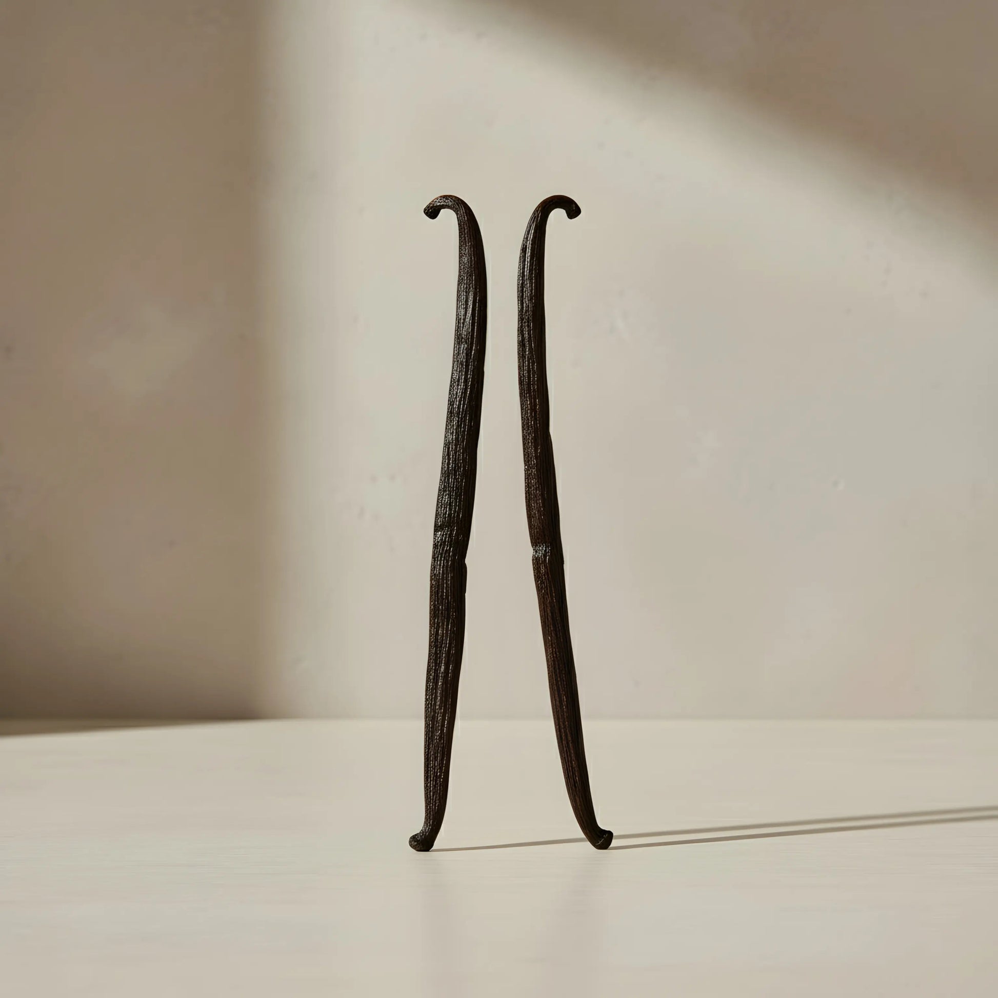 Gousses de Vanille Bourbon de Madagascar - Gousse d'Or